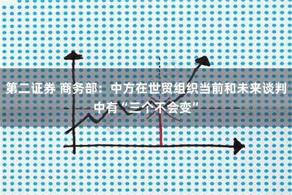 第二证券 商务部：中方在世贸组织当前和未来谈判中有“三个不会变”