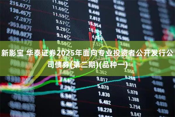 新影宝 华泰证券2025年面向专业投资者公开发行公司债券(第二期)(品种一)