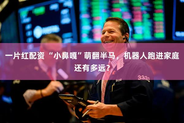 一片红配资 “小鼻嘎”萌翻半马，机器人跑进家庭还有多远？